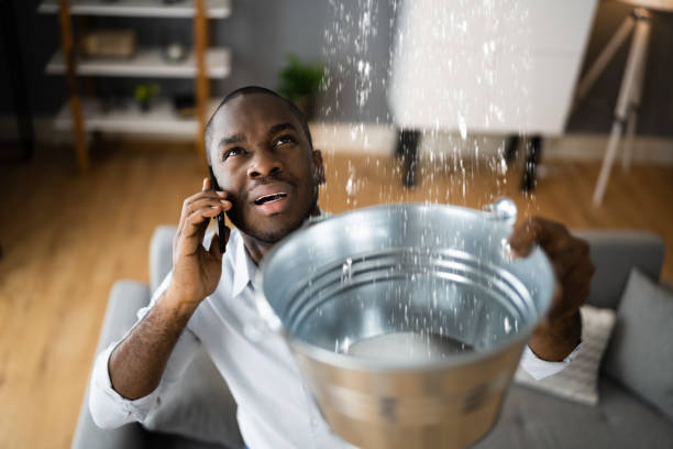 Best Water damage restoration near me  in Summerfield, MD