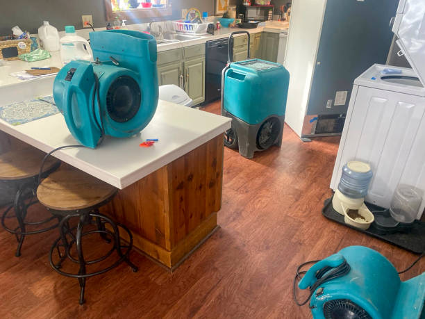 Best Carpet water damage restoration  in Summerfield, MD
