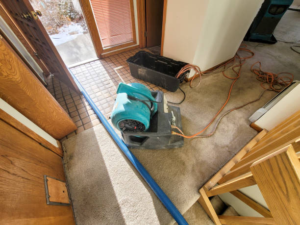 Water damage restoration insurance claims in Summerfield, MD