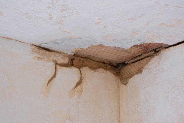 Best Ceiling water damage repair  in Summerfield, MD