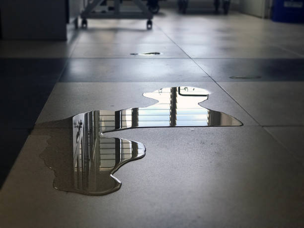 Best Commercial water damage restoration  in Summerfield, MD