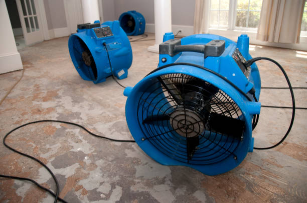 Best Ceiling water damage repair  in Summerfield, MD