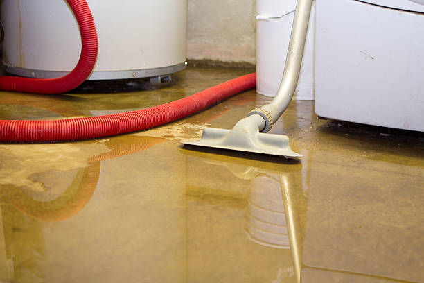 Best Residential water damage restoration  in Summerfield, MD