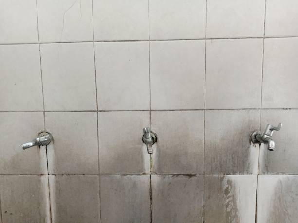 Best Basement water damage restoration  in Summerfield, MD
